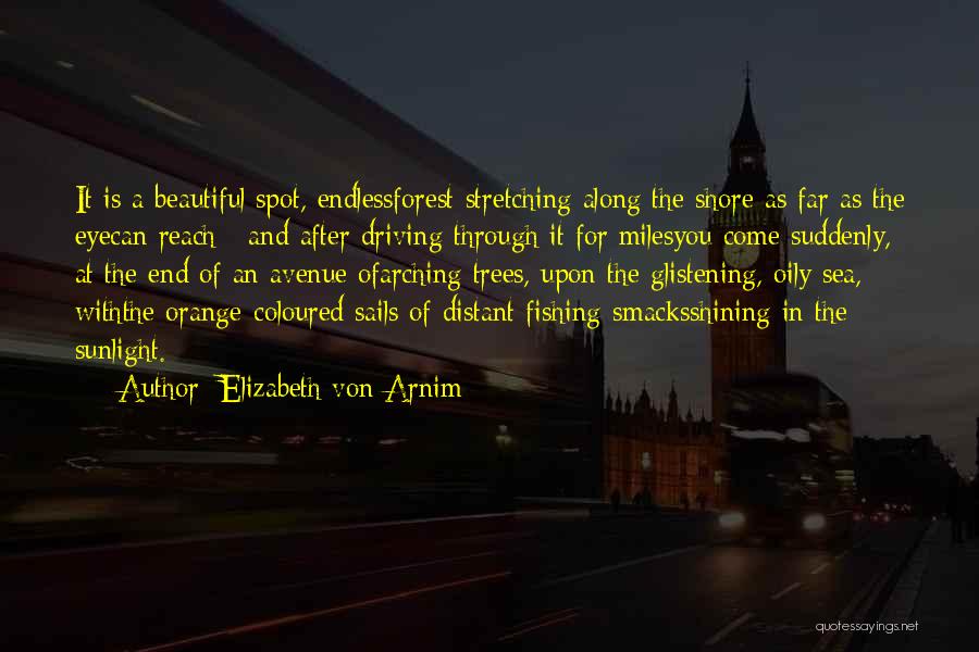 Elizabeth Von Arnim Quotes 934344