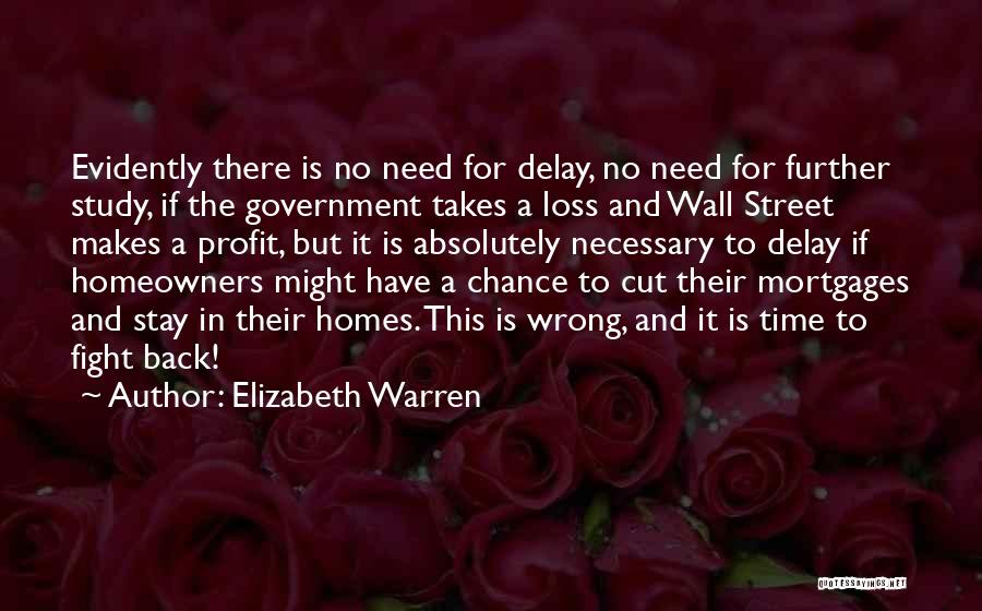 Elizabeth Warren Quotes 1124953