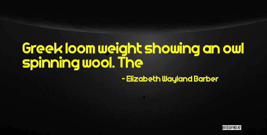 Elizabeth Wayland Barber Quotes 171064