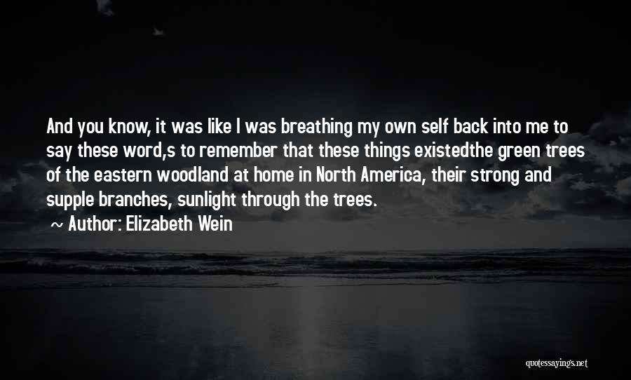 Elizabeth Wein Quotes 463146