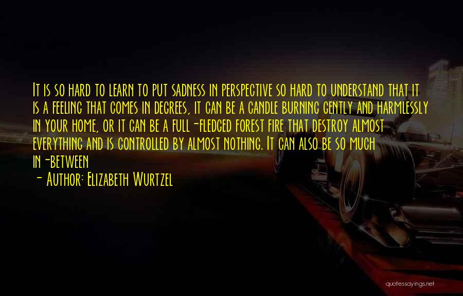 Elizabeth Wurtzel Quotes 772251