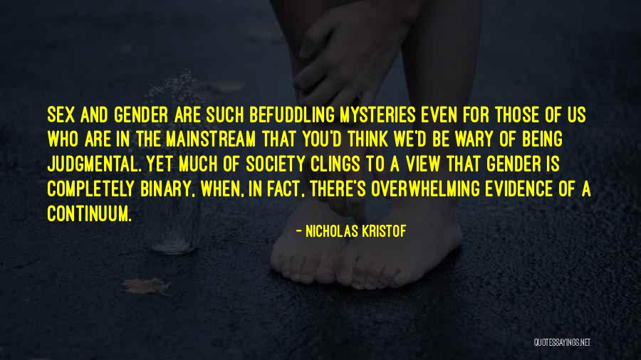 Elizer Metellus Quotes By Nicholas Kristof Elizer Metellus Quotes By Nicholas Kristof