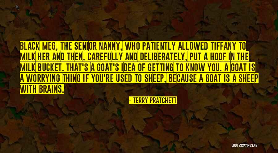 Elizur Butler Quotes By Terry Pratchett Elizur Butler Quotes By Terry Pratchett