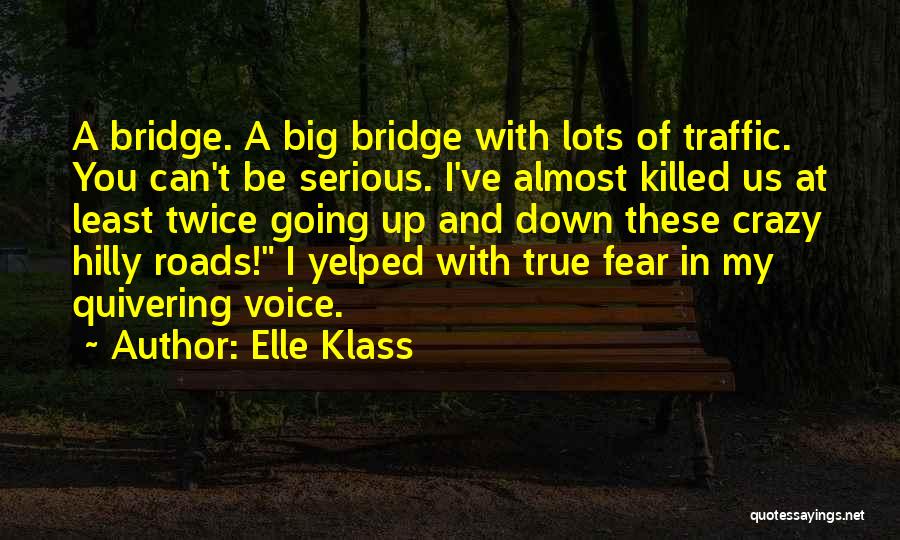 Elle Klass Quotes 1635231