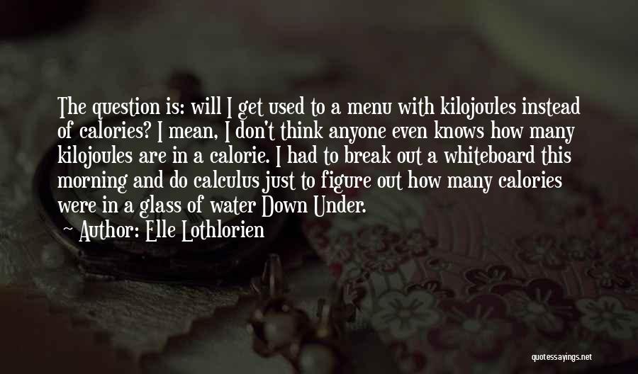 Elle Lothlorien Quotes 1398769