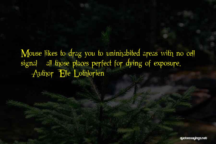 Elle Lothlorien Quotes 201364