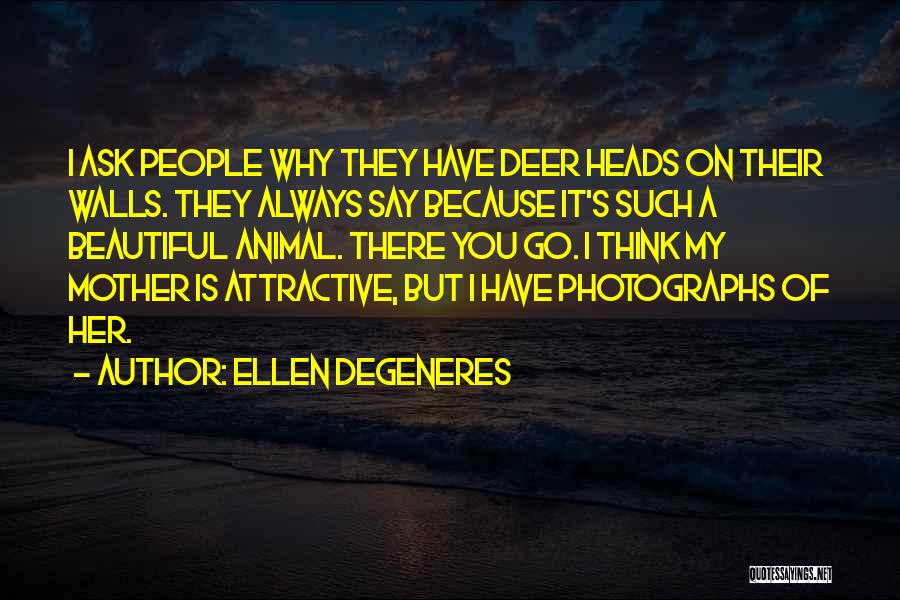 Ellen DeGeneres Quotes 297022