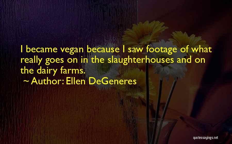 Ellen DeGeneres Quotes 555346