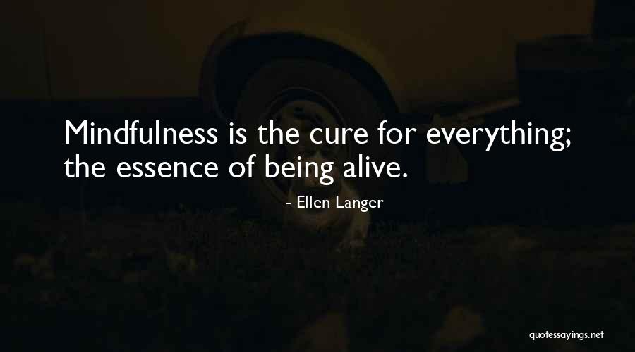 Ellen Langer Quotes 2070392 Ellen Langer Quotes 2070392