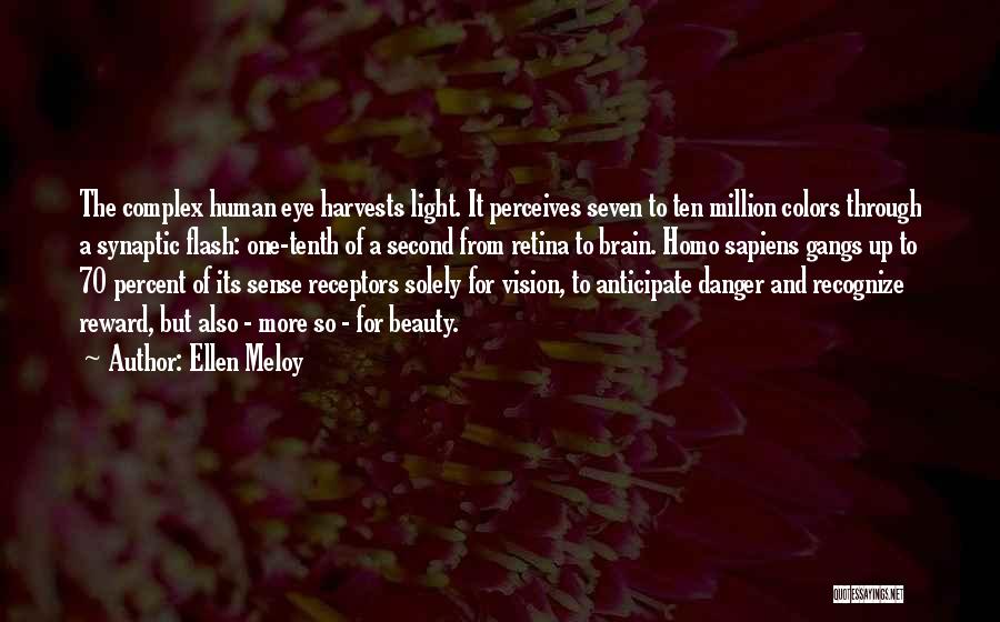 Ellen Meloy Quotes 1650726