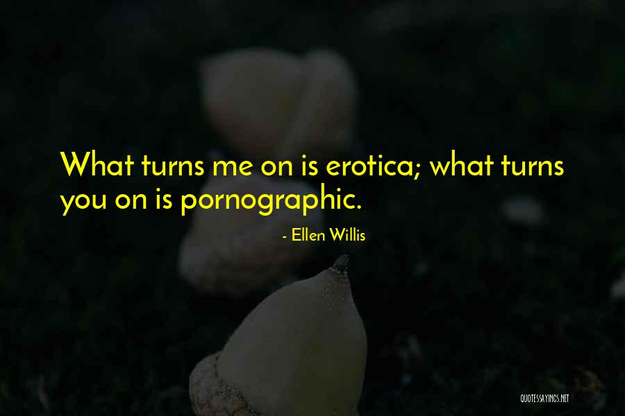 Ellen Willis Quotes 2024322