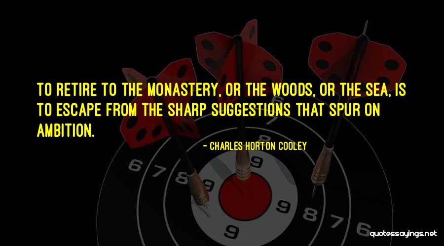 Ellerime Saglik Quotes By Charles Horton Cooley Ellerime Saglik Quotes By Charles Horton Cooley