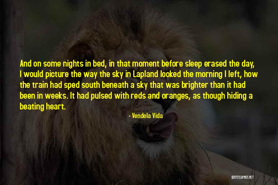 Ellerine Quotes By Vendela Vida Ellerine Quotes By Vendela Vida