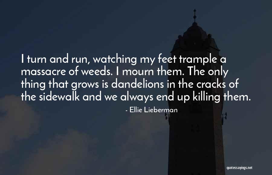 Ellie Lieberman Quotes 1471645 Ellie Lieberman Quotes 1471645
