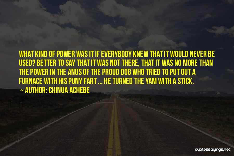 Ellinore Duncan Quotes By Chinua Achebe