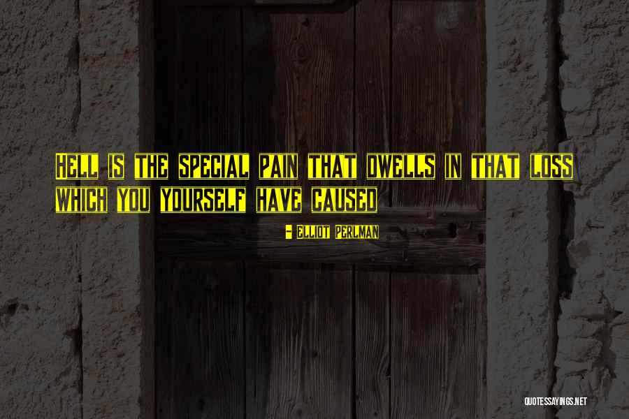Elliot Perlman Quotes 1242699