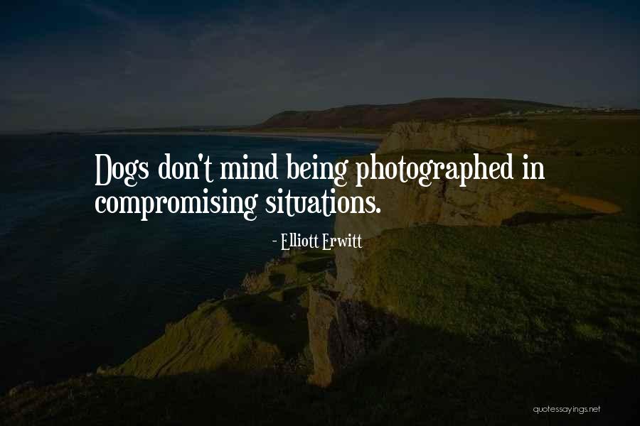 Elliott Erwitt Quotes 1414916