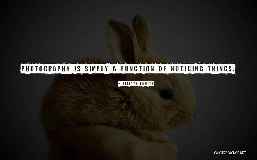 Elliott Erwitt Quotes 148700