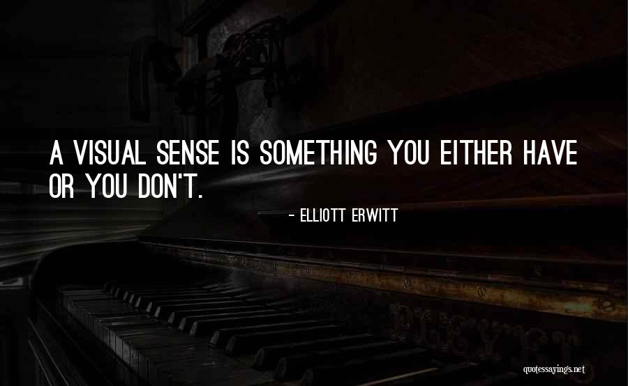 Elliott Erwitt Quotes 2081704