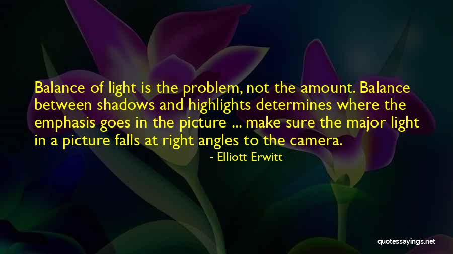 Elliott Erwitt Quotes 2105519