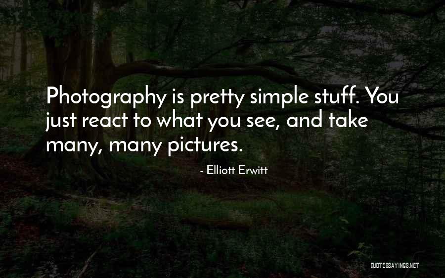 Elliott Erwitt Quotes 339472