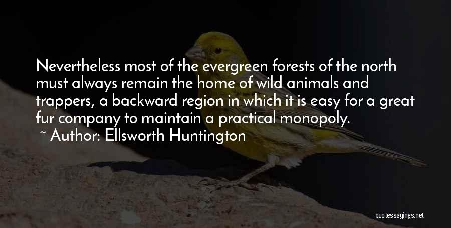 Ellsworth Huntington Quotes 2012503