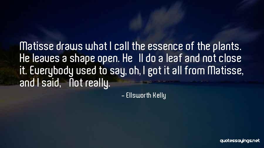 Ellsworth Kelly Quotes 165866