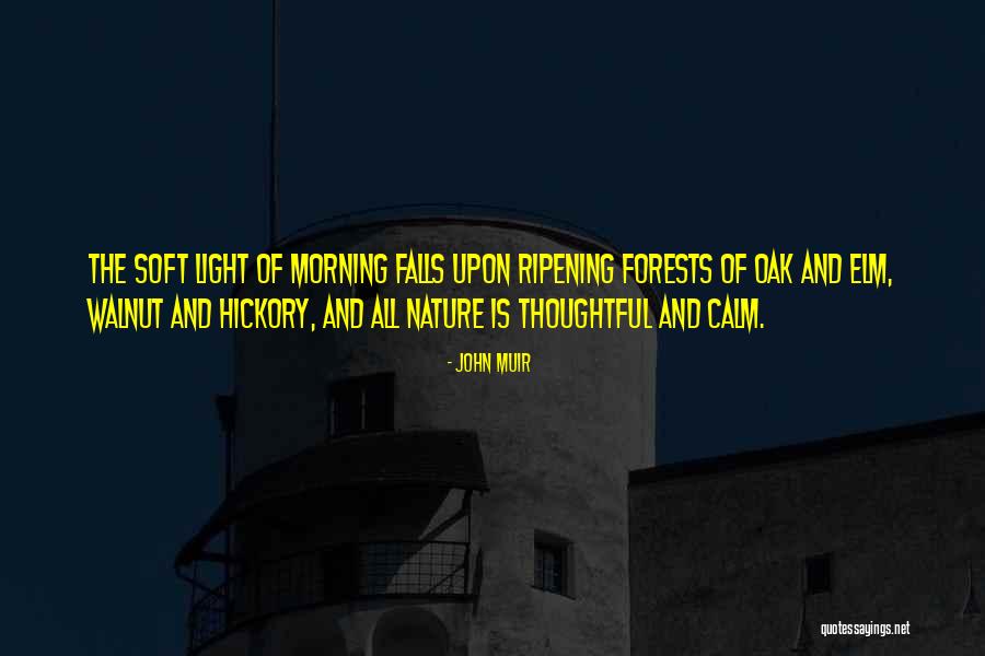 Elm Quotes By John Muir Elm Quotes By John Muir
