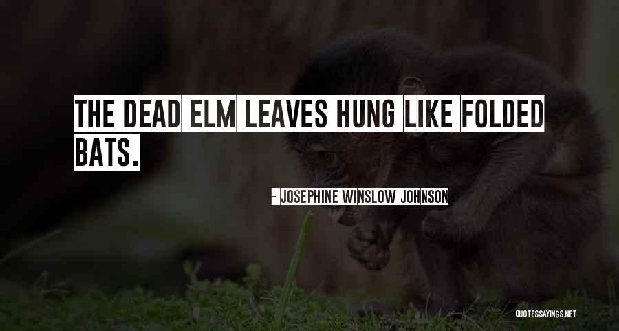 Elm Quotes By Josephine Winslow Johnson Elm Quotes By Josephine Winslow Johnson