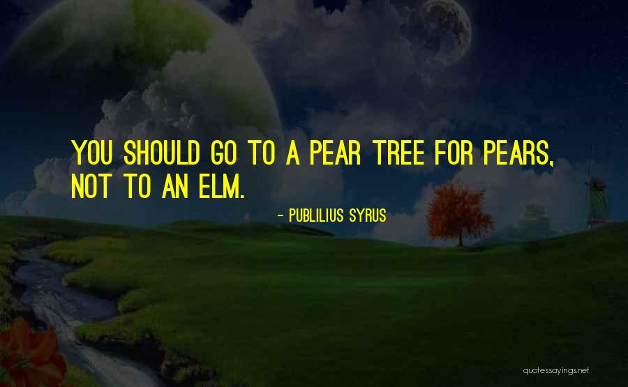 Elm Quotes By Publilius Syrus Elm Quotes By Publilius Syrus