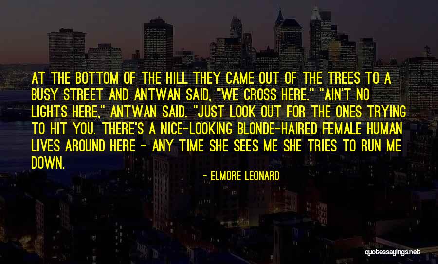 Elmore Leonard Quotes 2006993