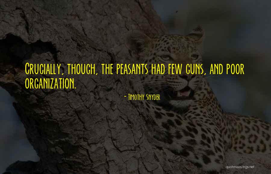 Elogiul Lui Quotes By Timothy Snyder Elogiul Lui Quotes By Timothy Snyder