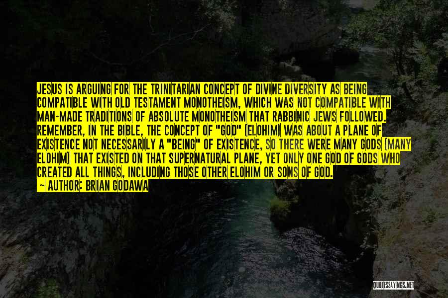 Elohim Bible Quotes By Brian Godawa