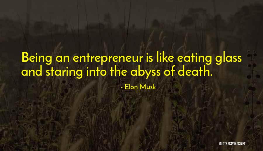 Elon Musk Entrepreneur Quotes By Elon Musk