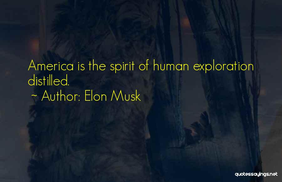 Elon Musk Quotes 1209298