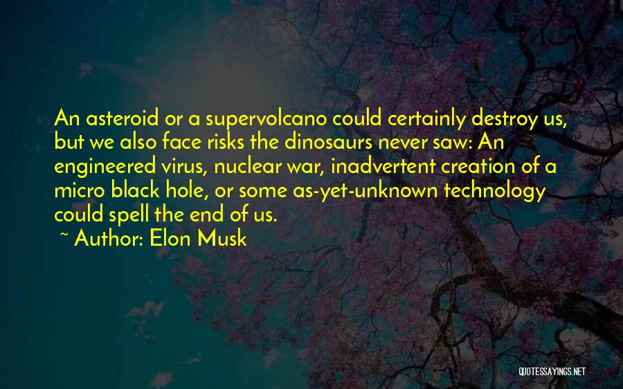 Elon Musk Quotes 2030288