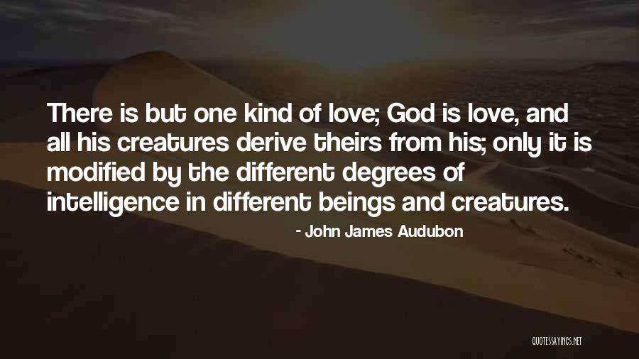 Elopement Ideas Quotes By John James Audubon Elopement Ideas Quotes By John James Audubon