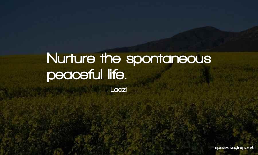 Eloquentia Consulting Quotes By Laozi Eloquentia Consulting Quotes By Laozi