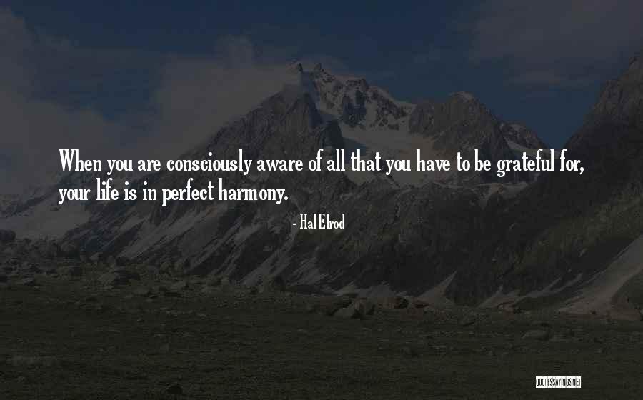 Elrod Quotes By Hal Elrod Elrod Quotes By Hal Elrod