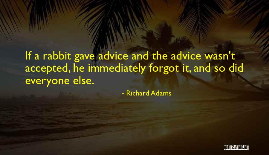 Elroi Academy Quotes By Richard Adams Elroi Academy Quotes By Richard Adams