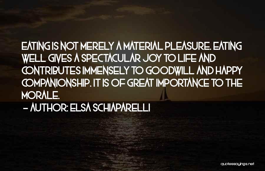 Elsa Schiaparelli Quotes 263823