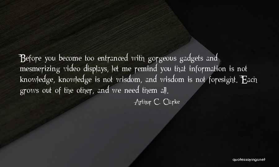 Elsbeere Baum Quotes By Arthur C. Clarke Elsbeere Baum Quotes By Arthur C. Clarke