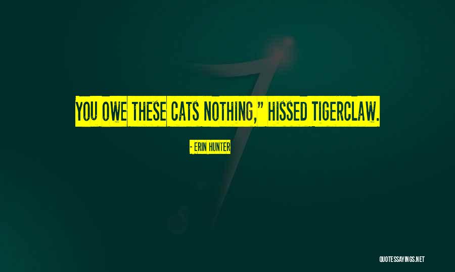 Elsdon Illinois Quotes By Erin Hunter Elsdon Illinois Quotes By Erin Hunter
