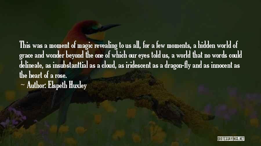 Elspeth Huxley Quotes 1048886