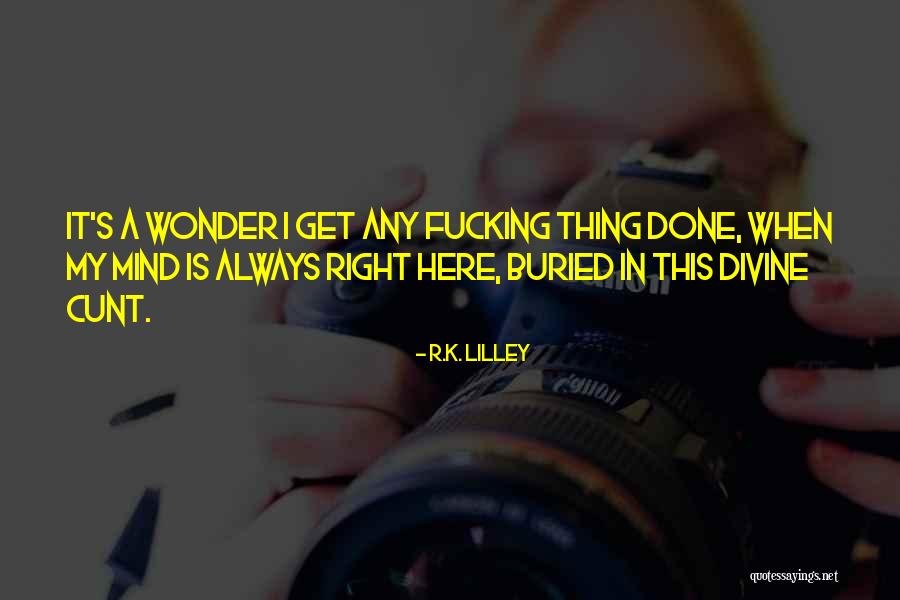 Elster Steuer Quotes By R.K. Lilley Elster Steuer Quotes By R.K. Lilley