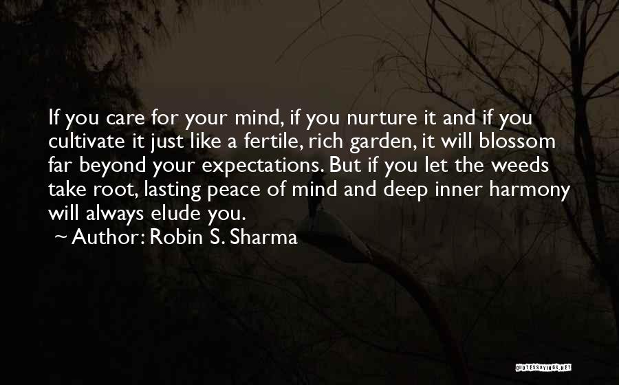 Elude Quotes By Robin S. Sharma