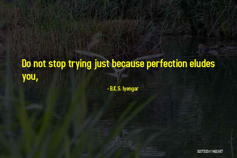 Eludes Quotes By B.K.S. Iyengar