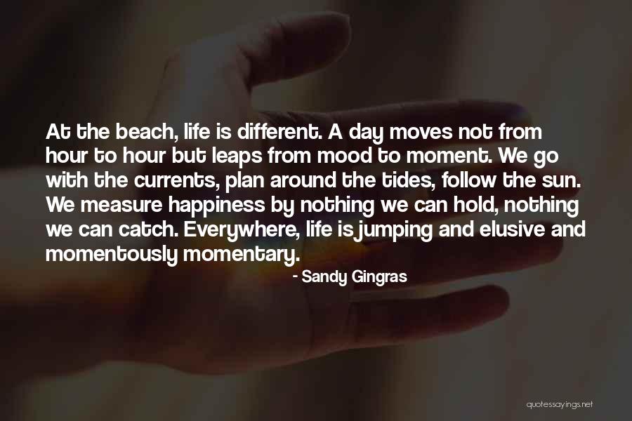 Elusive Happiness Quotes By Sandy Gingras