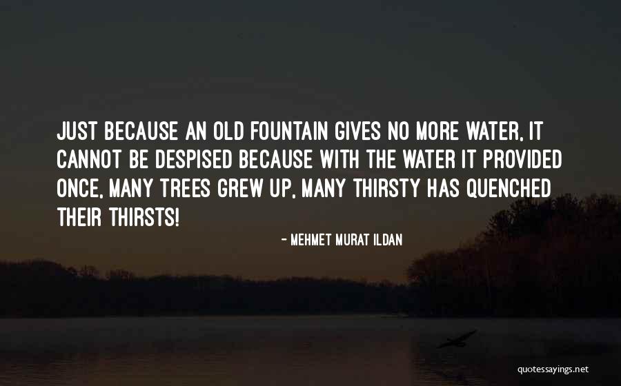 Elveszett Kutya Quotes By Mehmet Murat Ildan Elveszett Kutya Quotes By Mehmet Murat Ildan