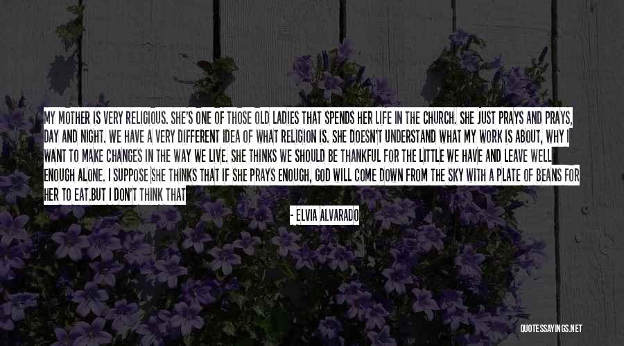 Elvia Alvarado Quotes 249503